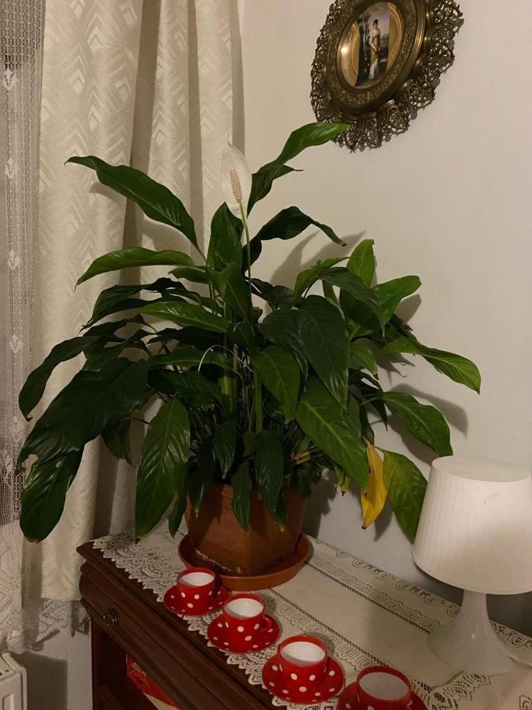 周五公寓 利贝雷茨 外观 照片